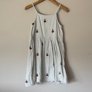 Pink Chicken Cherry Embroidered Dress